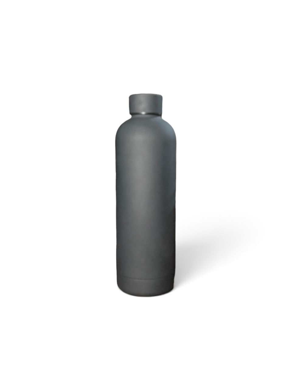 Matte Insulated Stainless Steel Water Bottle
