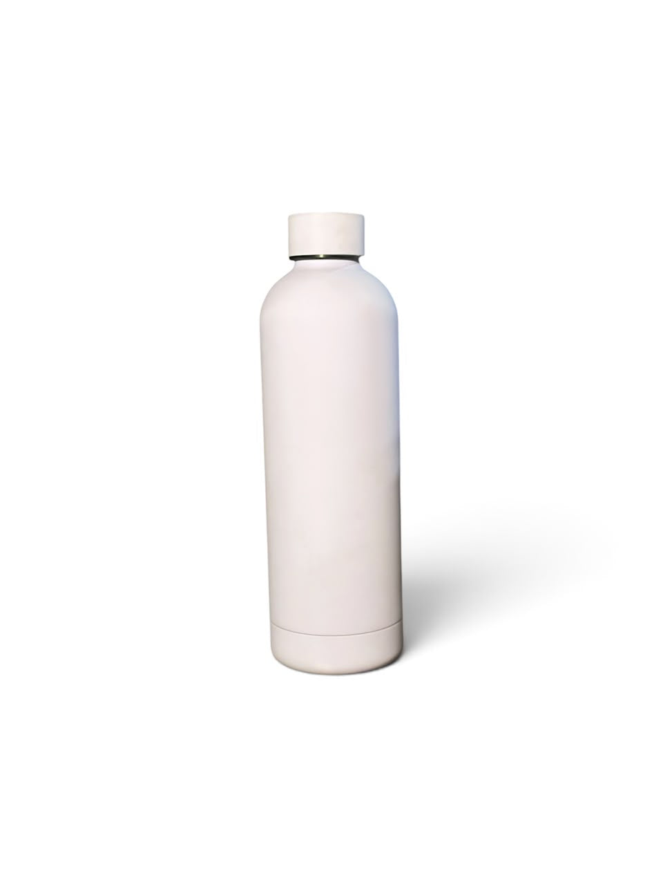 Matte Insulated Stainless Steel Water Bottle